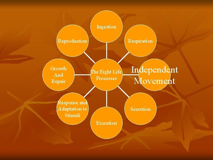 Ingestion Respiration Reproduction Growth And Repair The Eight Life Processes Response and Adaptation to