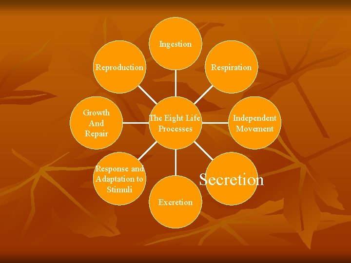 Ingestion Respiration Reproduction Growth And Repair The Eight Life Processes Response and Adaptation to