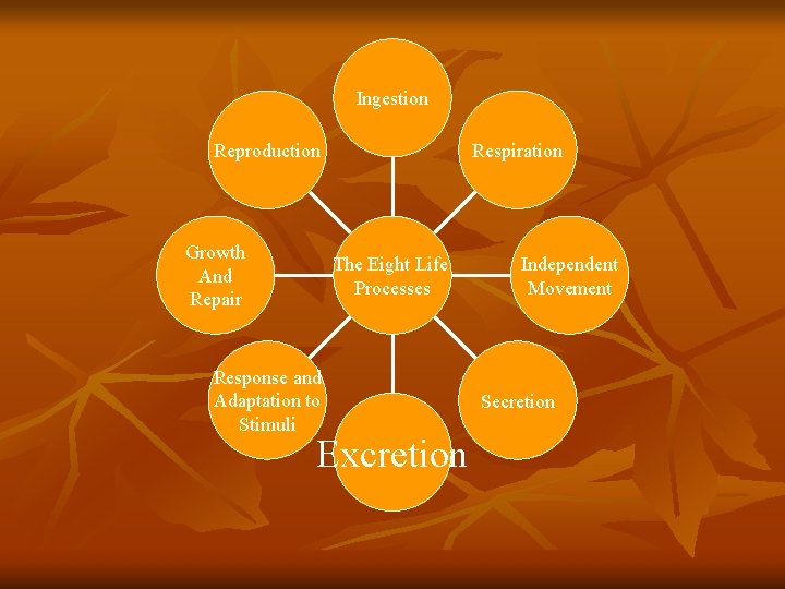 Ingestion Respiration Reproduction Growth And Repair The Eight Life Processes Response and Adaptation to