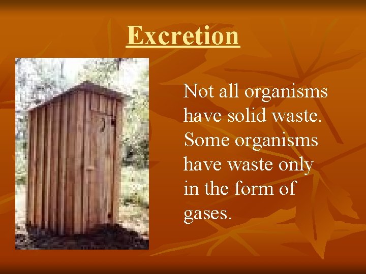 Excretion Not all organisms have solid waste. Some organisms have waste only in the