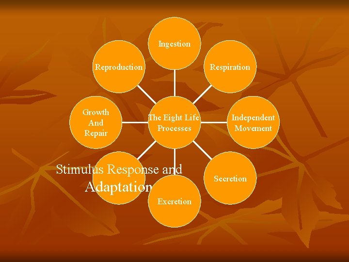 Ingestion Respiration Reproduction Growth And Repair The Eight Life Processes Stimulus Response and Adaptation
