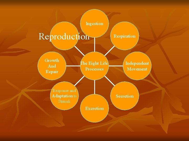 Ingestion Reproduction Growth And Repair The Eight Life Processes Response and Adaptation to Stimuli