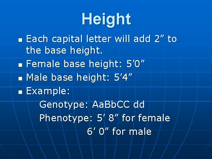 Height n n Each capital letter will add 2” to the base height. Female