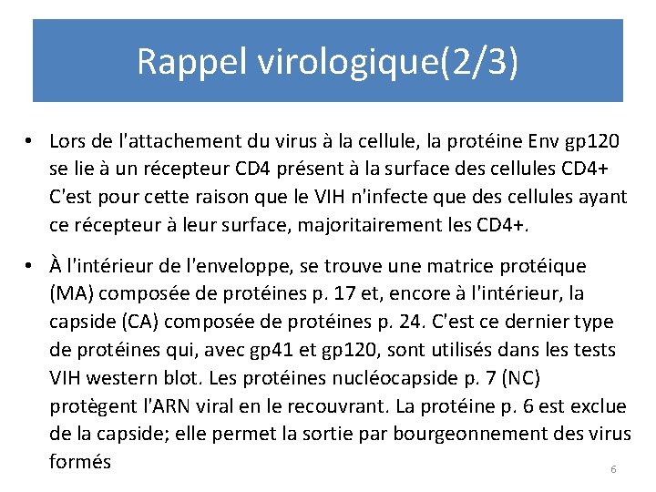 Rappel virologique(2/3) • Lors de l'attachement du virus à la cellule, la protéine Env