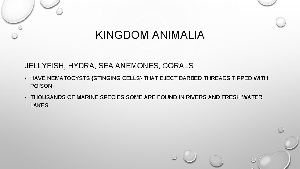 KINGDOM ANIMALIA JELLYFISH, HYDRA, SEA ANEMONES, CORALS • HAVE NEMATOCYSTS {STINGING CELLS} THAT EJECT