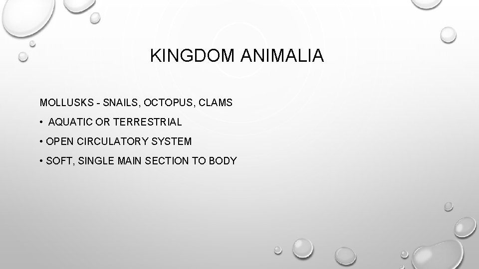 KINGDOM ANIMALIA MOLLUSKS - SNAILS, OCTOPUS, CLAMS • AQUATIC OR TERRESTRIAL • OPEN CIRCULATORY