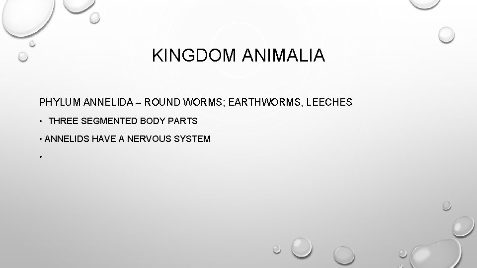 KINGDOM ANIMALIA PHYLUM ANNELIDA – ROUND WORMS; EARTHWORMS, LEECHES • THREE SEGMENTED BODY PARTS