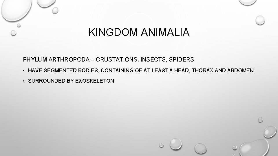 KINGDOM ANIMALIA PHYLUM ARTHROPODA – CRUSTATIONS, INSECTS, SPIDERS • HAVE SEGMENTED BODIES, CONTAINING OF