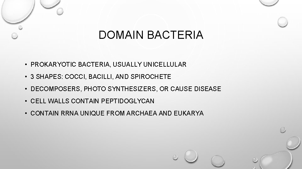 DOMAIN BACTERIA • PROKARYOTIC BACTERIA, USUALLY UNICELLULAR • 3 SHAPES: COCCI, BACILLI, AND SPIROCHETE