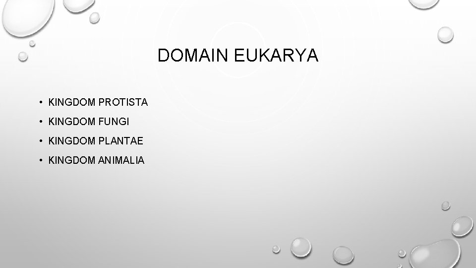 DOMAIN EUKARYA • KINGDOM PROTISTA • KINGDOM FUNGI • KINGDOM PLANTAE • KINGDOM ANIMALIA