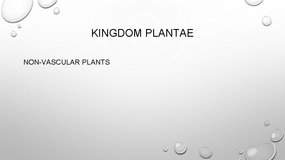KINGDOM PLANTAE NON-VASCULAR PLANTS 