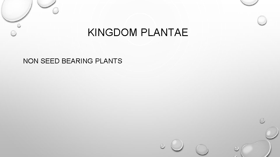 KINGDOM PLANTAE NON SEED BEARING PLANTS 