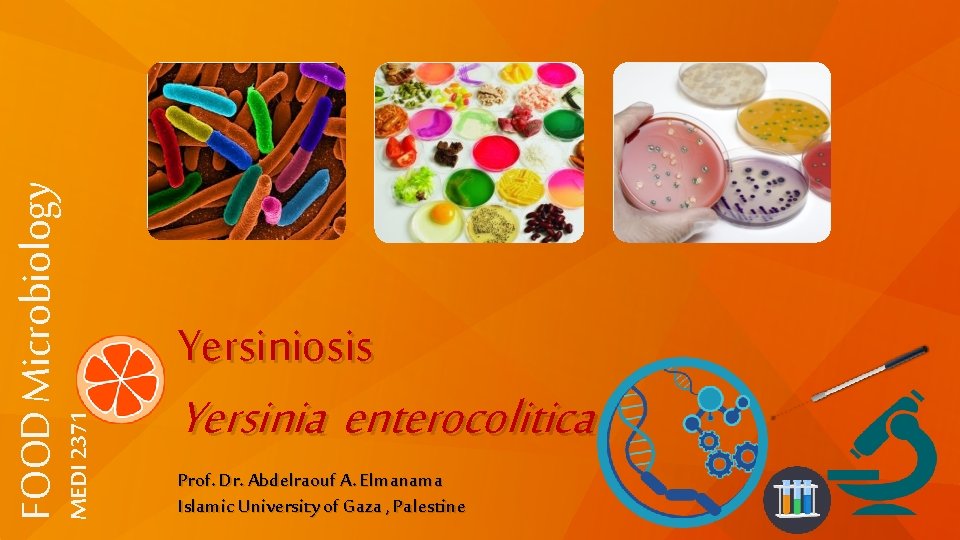 MEDI 2371 FOOD Microbiology Yersiniosis Yersinia enterocolitica Prof. Dr. Abdelraouf A. Elmanama Islamic University