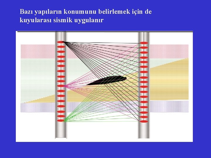 Bazı yapıların konumunu belirlemek için de kuyularası sismik uygulanır 