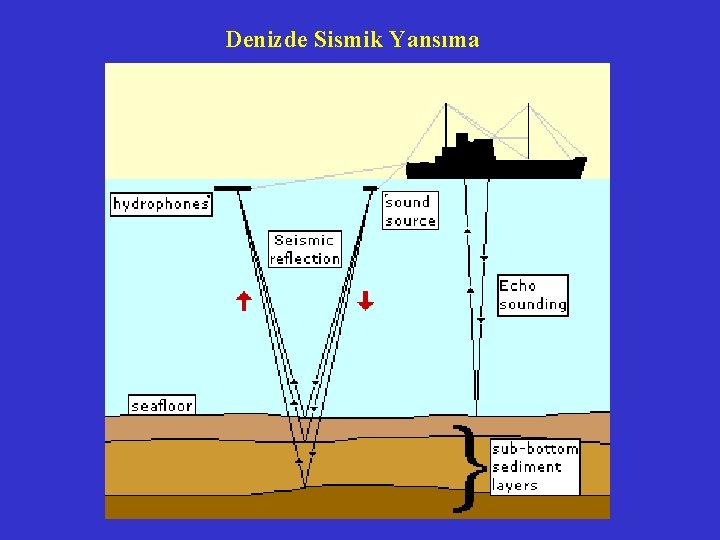 Denizde Sismik Yansıma 