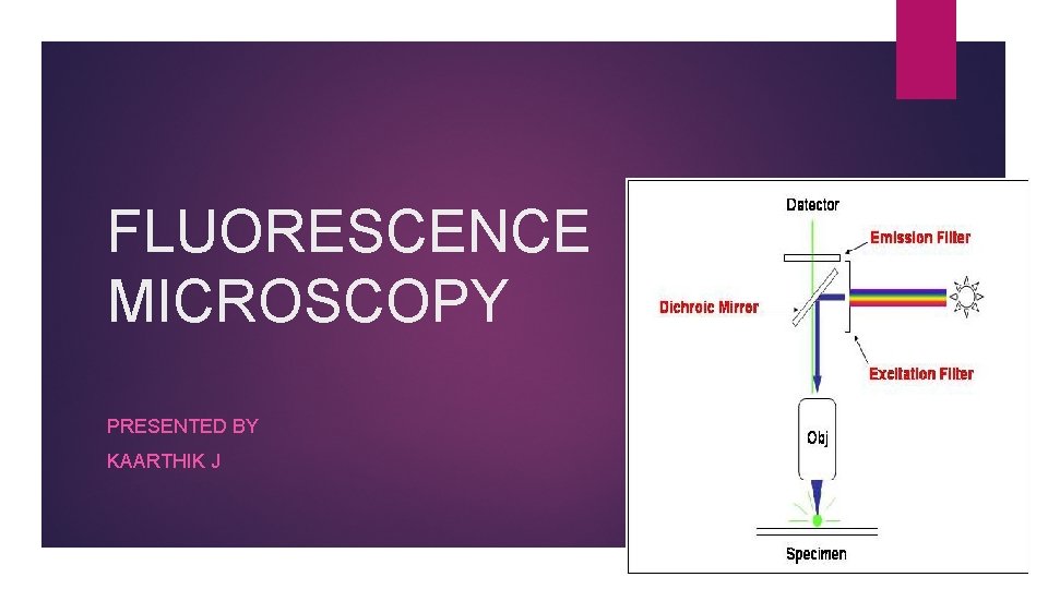 FLUORESCENCE MICROSCOPY PRESENTED BY KAARTHIK J 