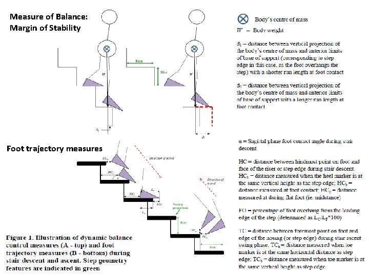 Measure of Balance: Margin of Stability Foot trajectory measures Outline 