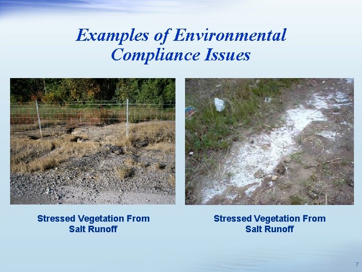 Examples of Environmental Compliance Issues Stressed Vegetation From Salt Runoff 7 