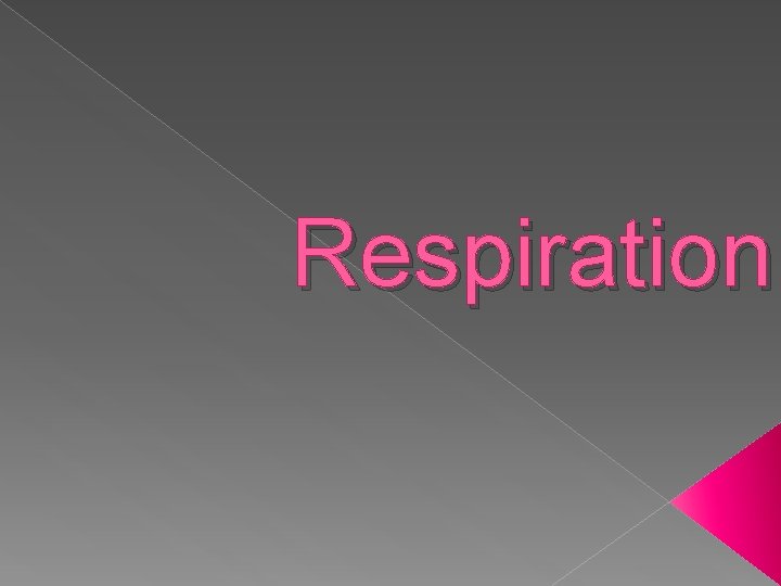 Respiration 