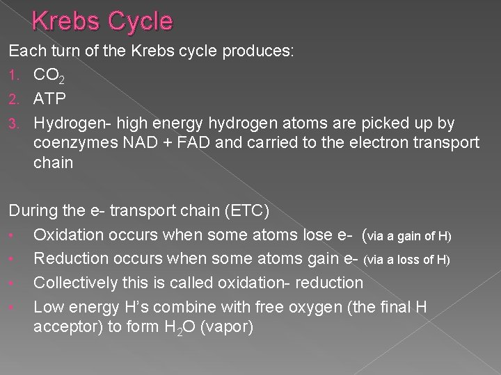 Krebs Cycle Each turn of the Krebs cycle produces: 1. CO 2 2. ATP