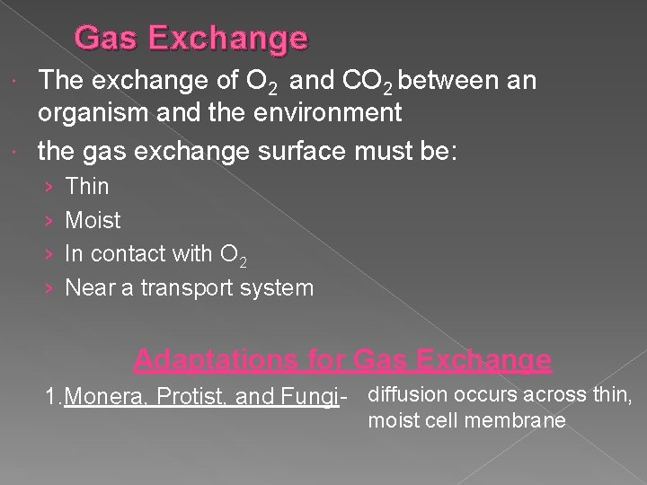 Gas Exchange The exchange of O 2 and CO 2 between an organism and