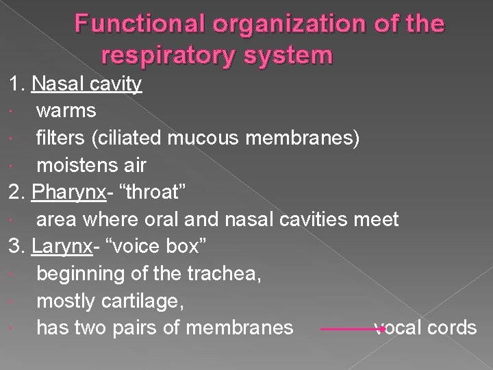 Functional organization of the respiratory system 1. Nasal cavity warms filters (ciliated mucous membranes)