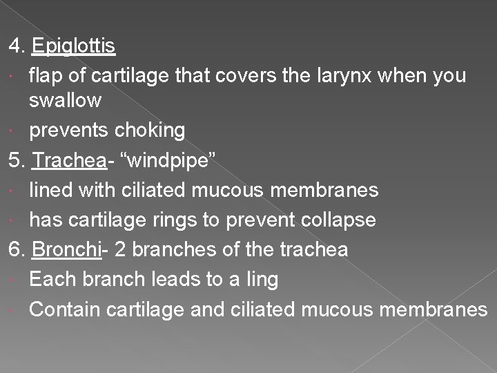 4. Epiglottis flap of cartilage that covers the larynx when you swallow prevents choking