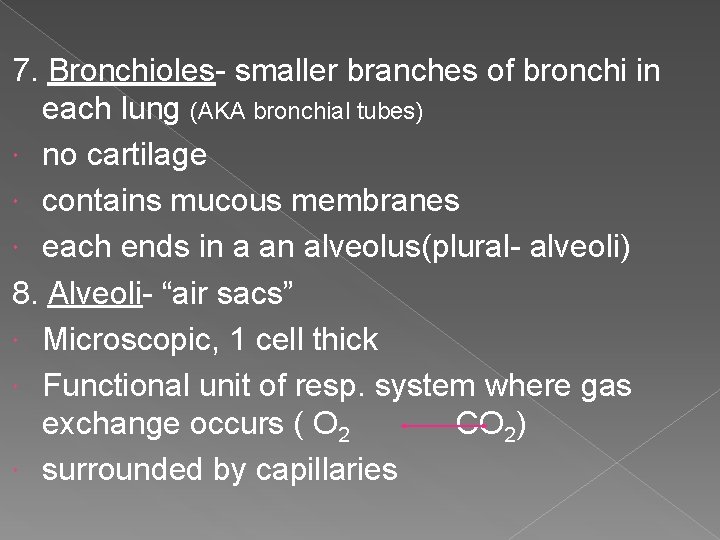 7. Bronchioles- smaller branches of bronchi in each lung (AKA bronchial tubes) no cartilage