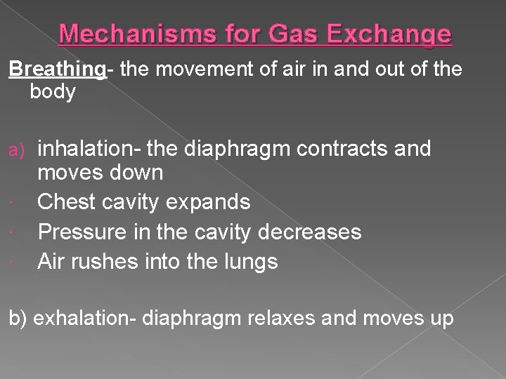 Mechanisms for Gas Exchange Breathing- the movement of air in and out of the