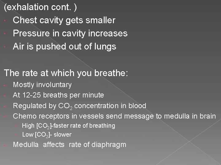 (exhalation cont. ) Chest cavity gets smaller Pressure in cavity increases Air is pushed