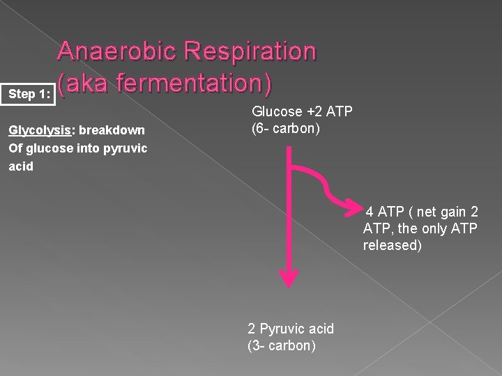 Anaerobic Respiration (aka fermentation) Step 1: Glycolysis: breakdown Of glucose into pyruvic acid Glucose