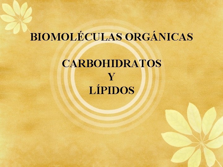 BIOMOLÉCULAS ORGÁNICAS CARBOHIDRATOS Y LÍPIDOS 