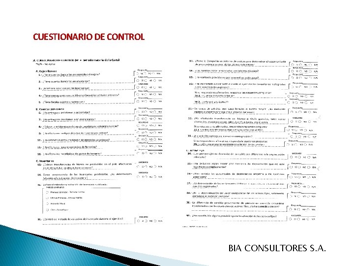 CUESTIONARIO DE CONTROL BIA CONSULTORES S. A. 