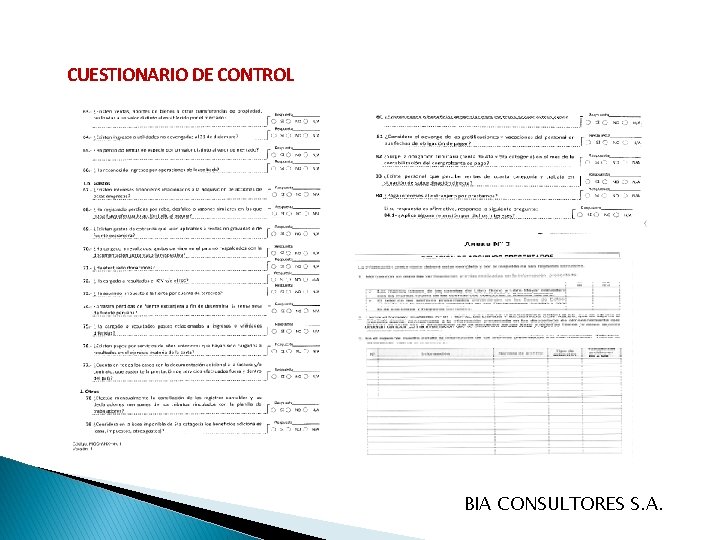 CUESTIONARIO DE CONTROL BIA CONSULTORES S. A. 