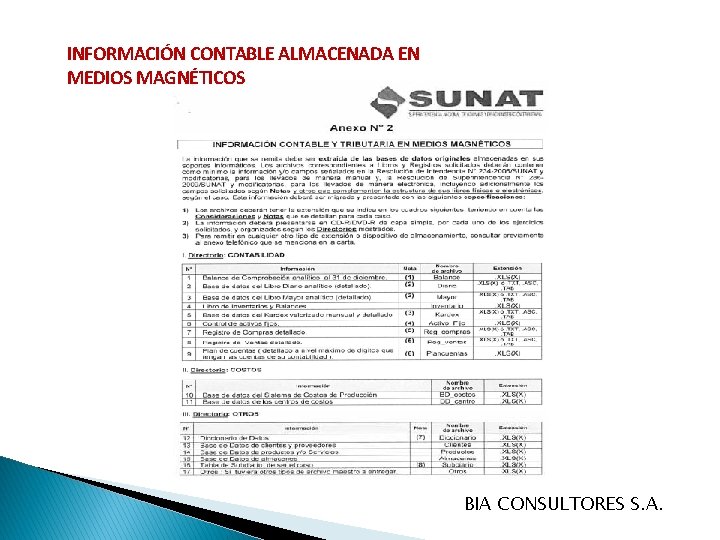 INFORMACIÓN CONTABLE ALMACENADA EN MEDIOS MAGNÉTICOS BIA CONSULTORES S. A. 