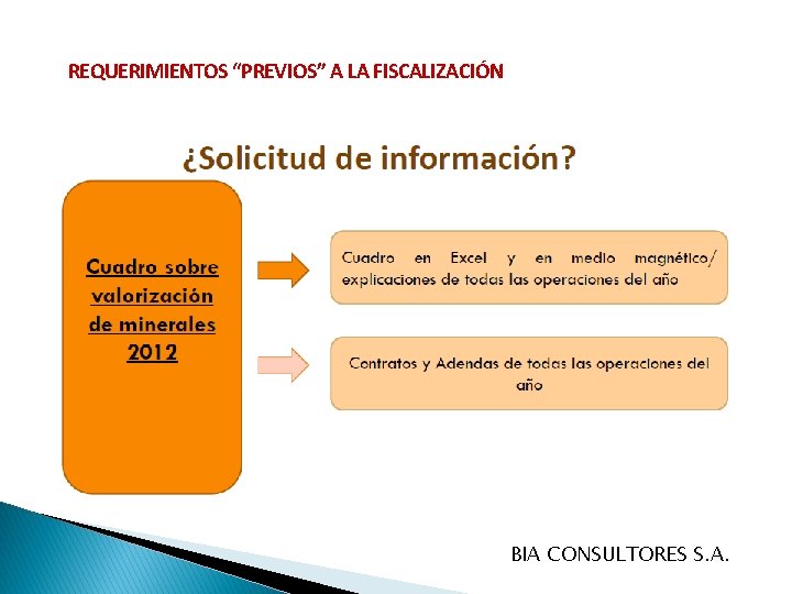 REQUERIMIENTOS “PREVIOS” A LA FISCALIZACIÓN BIA CONSULTORES S. A. 