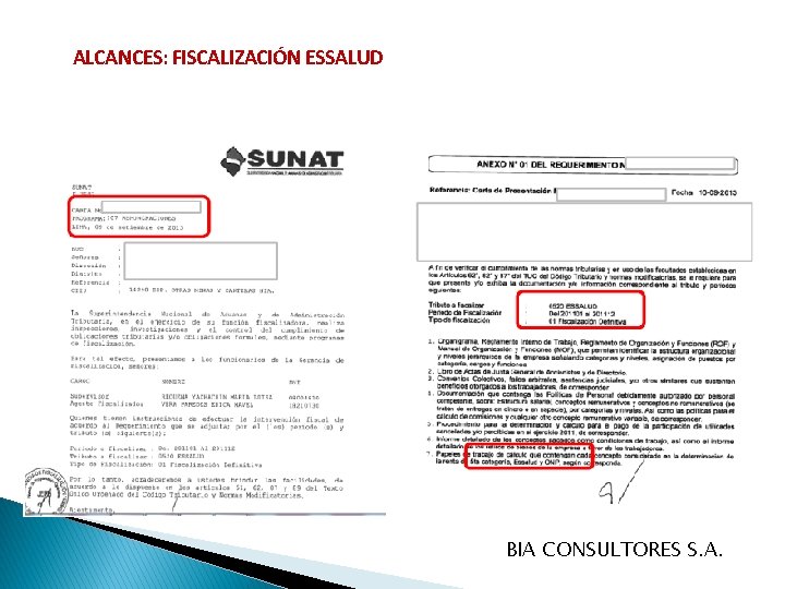 ALCANCES: FISCALIZACIÓN ESSALUD BIA CONSULTORES S. A. 