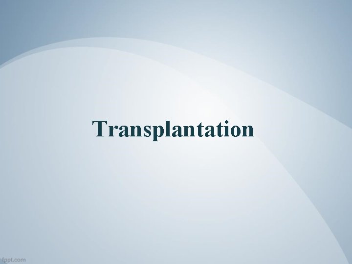 Transplantation 