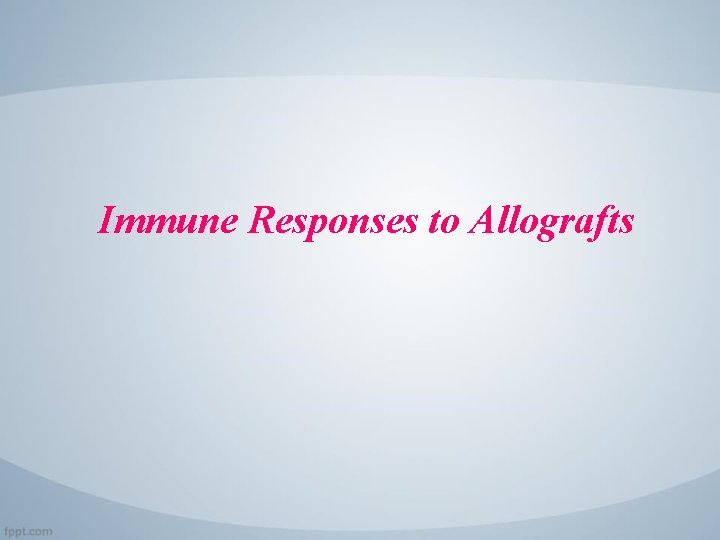 Immune Responses to Allografts 