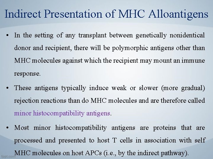 Indirect Presentation of MHC Alloantigens • In the setting of any transplant between genetically