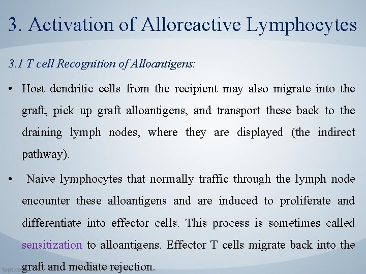 3. Activation of Alloreactive Lymphocytes 3. 1 T cell Recognition of Alloantigens: • Host