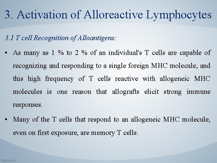 3. Activation of Alloreactive Lymphocytes 3. 1 T cell Recognition of Alloantigens: • As