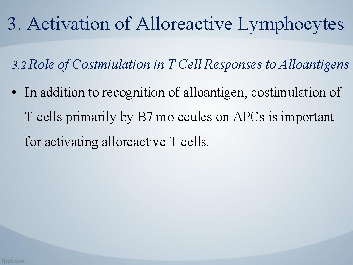 3. Activation of Alloreactive Lymphocytes 3. 2 Role of Costmiulation in T Cell Responses