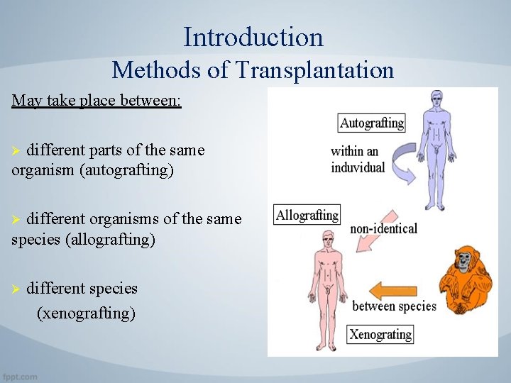 Introduction Methods of Transplantation May take place between: different parts of the same organism