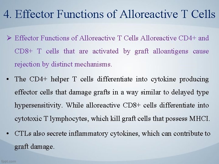 4. Effector Functions of Alloreactive T Cells Ø Effector Functions of Alloreactive T Cells