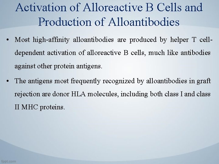 Activation of Alloreactive B Cells and Production of Alloantibodies • Most high-affinity alloantibodies are