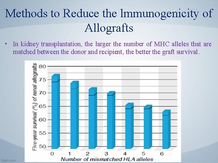 Methods to Reduce the lmmunogenicity of Allografts • In kidney transplantation, the larger the