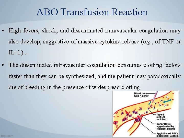 ABO Transfusion Reaction • High fevers, shock, and disseminated intravascular coagulation may also develop,