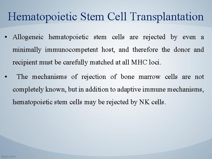 Hematopoietic Stem Cell Transplantation • Allogeneic hematopoietic stem cells are rejected by even a