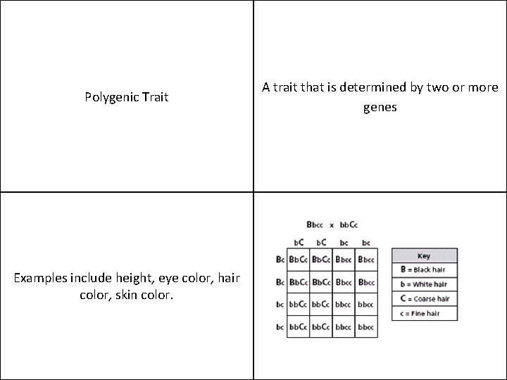 Polygenic Trait Examples include height, eye color, hair color, skin color. A trait that